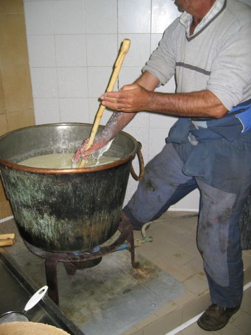 scuola di formaggio-12.JPG